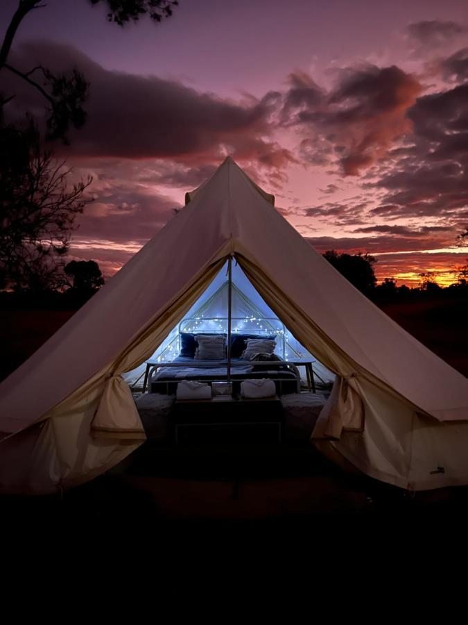 Mungo Lodge Esterno foto