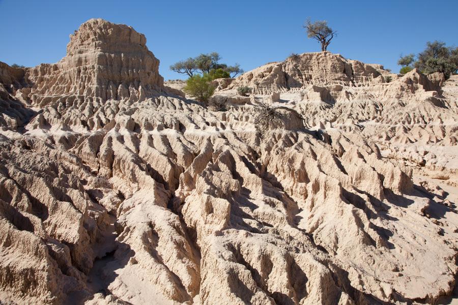 Mungo Lodge Esterno foto